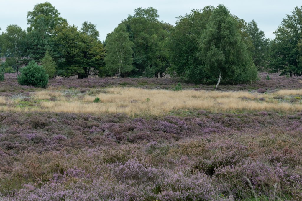 holterberg2_033.jpg