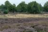 holterberg2_033_small.jpg