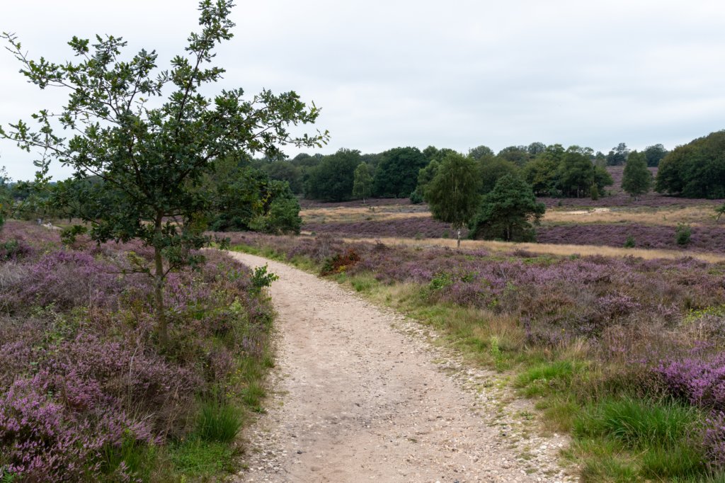 holterberg2_035.jpg