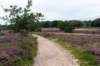 holterberg2_035_small.jpg