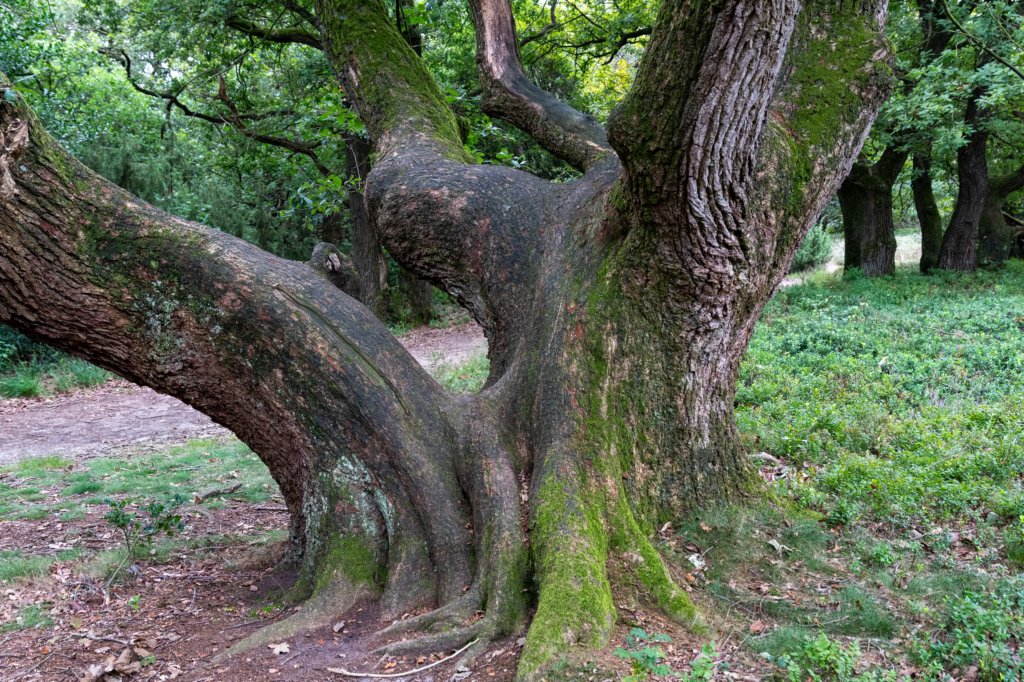 holterberg2_040.jpg
