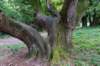 holterberg2_040_small.jpg