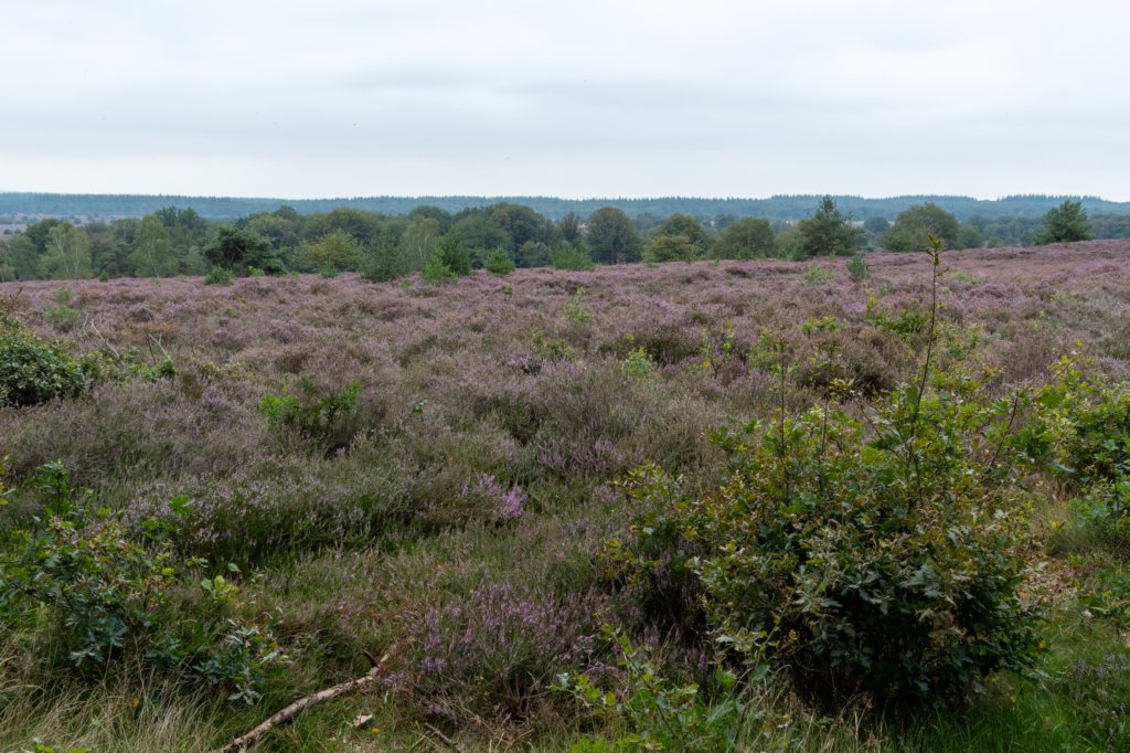 holterberg2_041.jpg