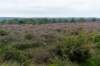 holterberg2_041_small.jpg