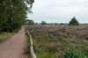 holterberg2_042_small.jpg