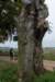 holterberg_002_small.jpg