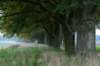 holterberg_003_small.jpg
