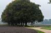 holterberg_005_small.jpg