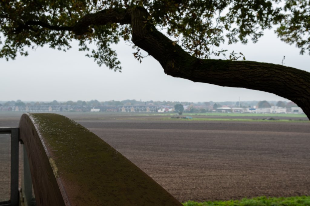 holterberg_006.jpg