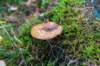 holterberg_011_small.jpg