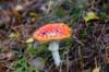 holterberg_013_small.jpg
