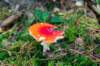 holterberg_014_small.jpg