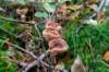 holterberg_017_small.jpg