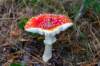 holterberg_019_small.jpg