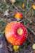 holterberg_020_small.jpg
