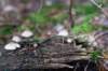 holterberg_022_small.jpg