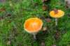 holterberg_025_small.jpg