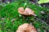 holterberg_026_small.jpg
