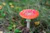 holterberg_027_small.jpg