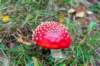 holterberg_028_small.jpg