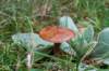 holterberg_029_small.jpg