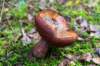holterberg_030_small.jpg