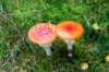 holterberg_031_small.jpg