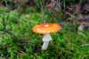 holterberg_032_small.jpg