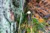 holterberg_034_small.jpg