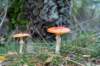 holterberg_035_small.jpg