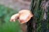 holterberg_038_small.jpg