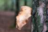 holterberg_039_small.jpg
