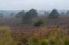 holterberg_040_small.jpg