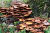 holterberg_041_small.jpg