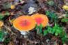 holterberg_044_small.jpg