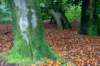 holterberg_046_small.jpg