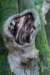 holterberg_047_small.jpg