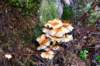 holterberg_048_small.jpg