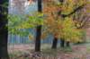 holterberg_050_small.jpg
