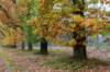 holterberg_051_small.jpg
