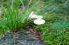 holterberg_054_small.jpg