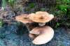 holterberg_055_small.jpg