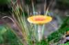 holterberg_056_small.jpg
