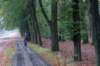 holterberg_058_small.jpg