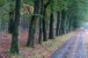 holterberg_059_small.jpg