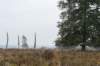 holterberg_061_small.jpg