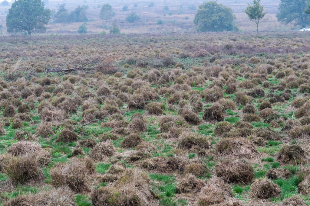 holterberg_062.jpg