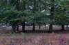 holterberg_065_small.jpg