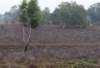 holterberg_066_small.jpg