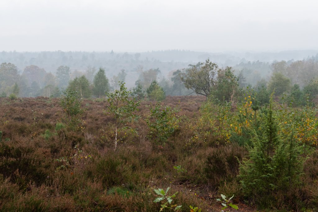holterberg_072.jpg